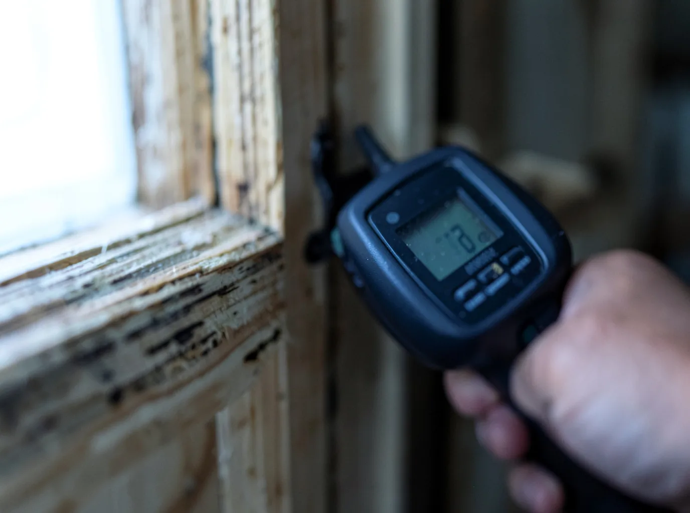Moisture Inspection And Documentation in Louise, TX
